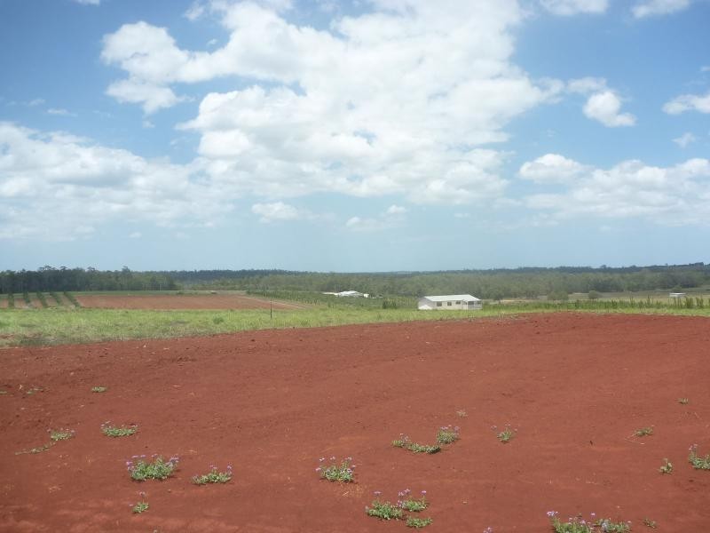 89 Gorries Road, North Isis QLD 4660