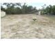 20 Gregory Street, Buxton QLD 4660