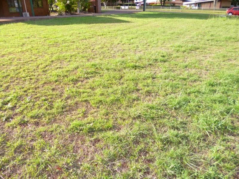 L1 & 2, 2 Mungomery Street, Childers QLD 4660