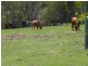 7257 Isis Highway, Eureka QLD 4660