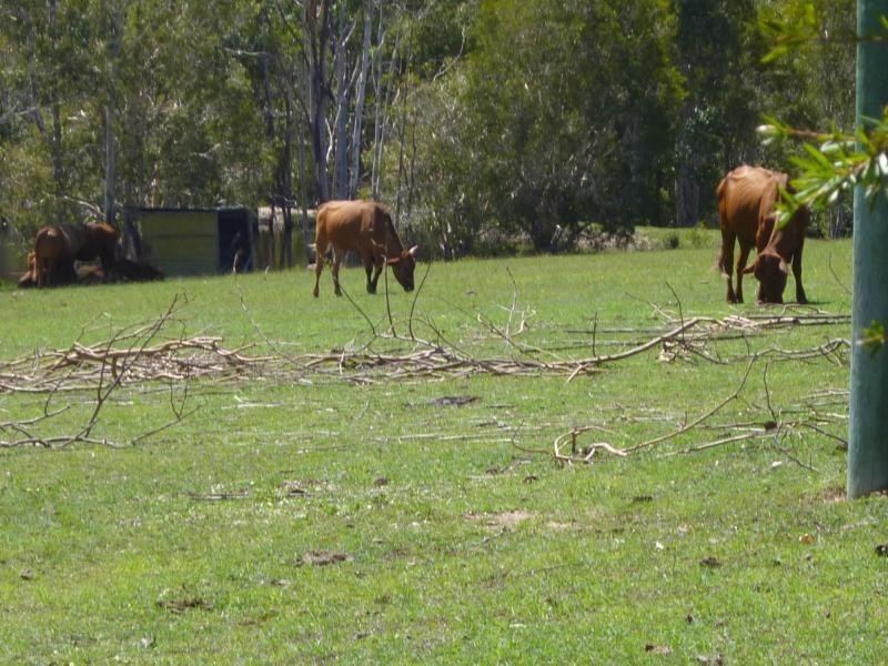 7257 Isis Highway, Eureka QLD 4660