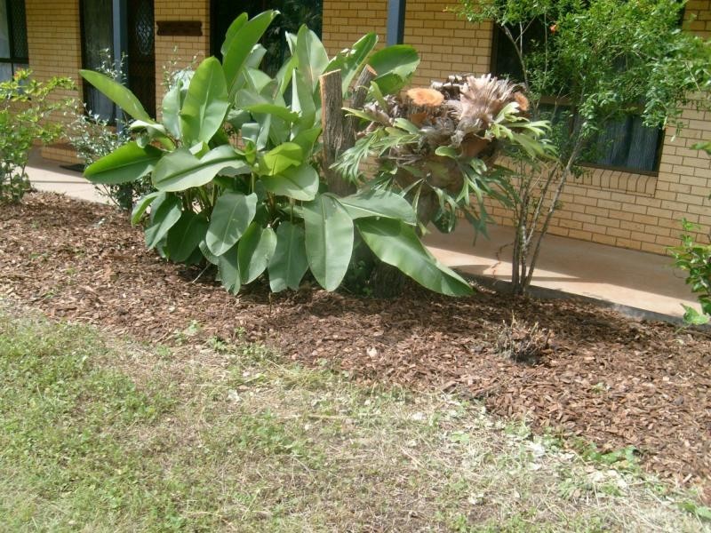 North Isis QLD 4660