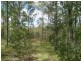 North Isis QLD 4660