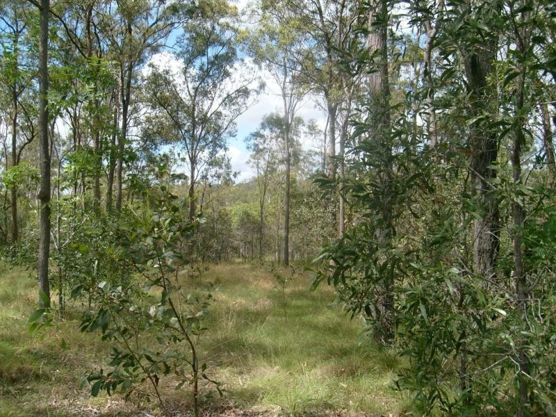 North Isis QLD 4660