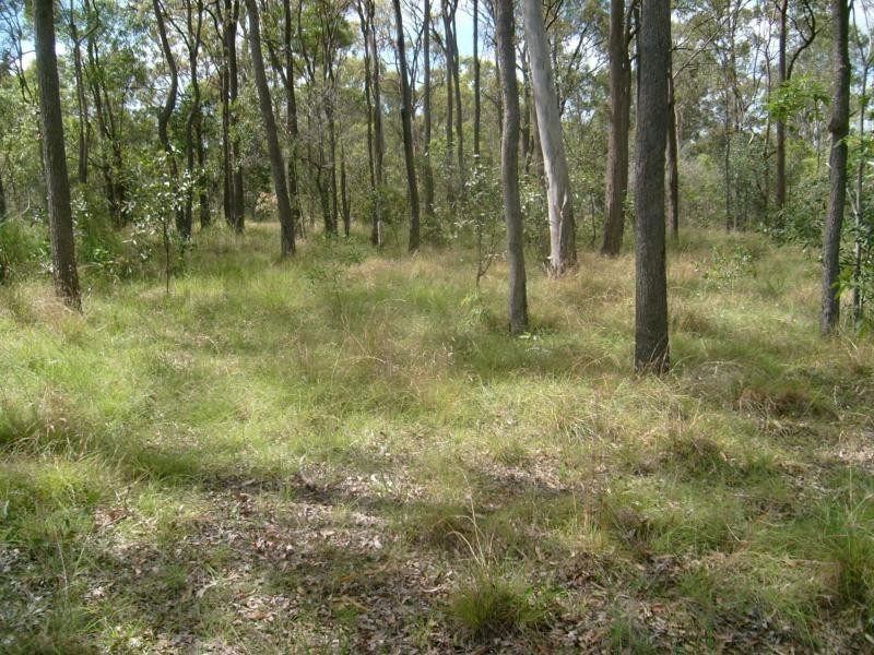 North Isis QLD 4660