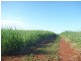 Abington QLD 4660