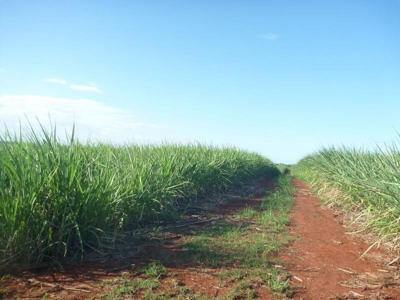 Abington QLD 4660
