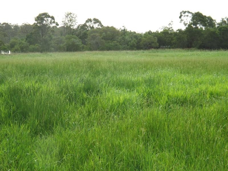 46 Mullers Road, Childers, Redridge QLD 4660