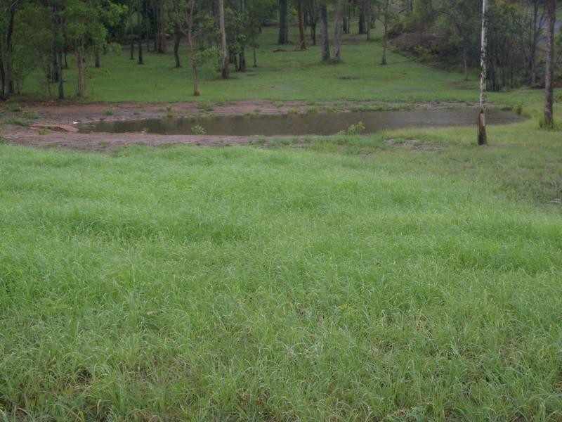 South Kolan QLD 4670