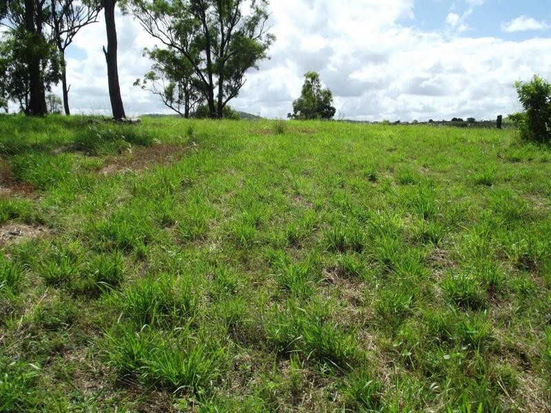 25 QUEEN Street, Dallarnil QLD 4621