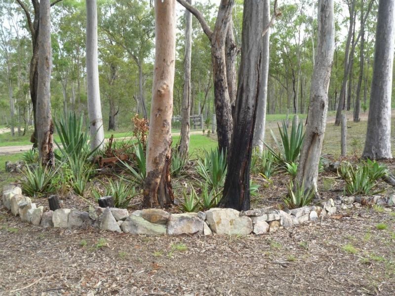 Apple Tree Creek QLD 4660