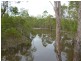 Apple Tree Creek QLD 4660