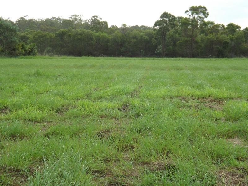 36 Mullers Road, Redridge QLD 4660