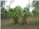 10 Commodore Drive, Bundaberg, South Bingera QLD 4670