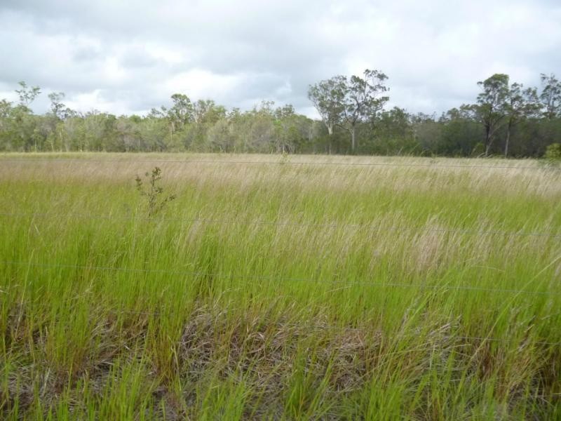 North Isis QLD 4660