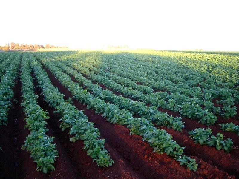 North Isis QLD 4660
