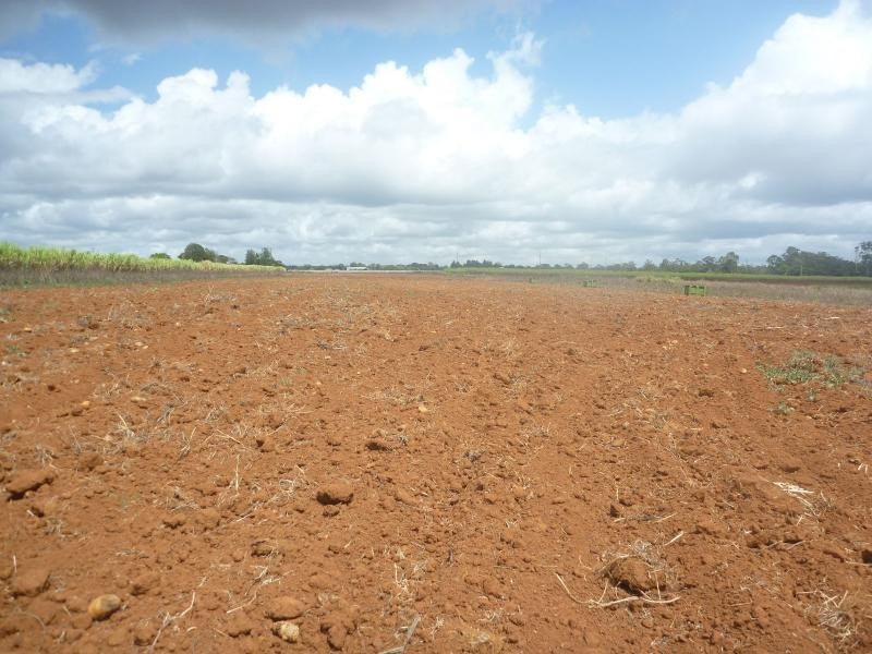 North Isis QLD 4660