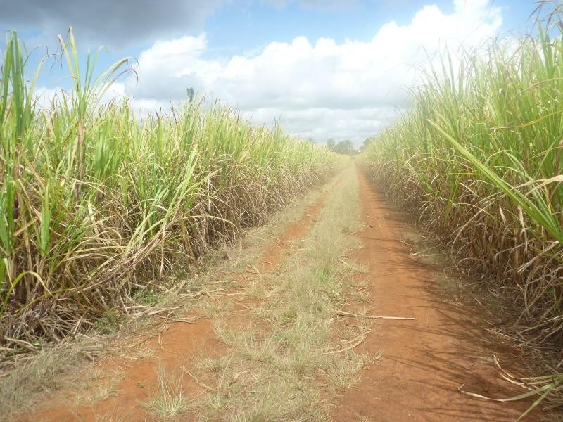 North Isis QLD 4660