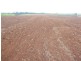 North Isis QLD 4660