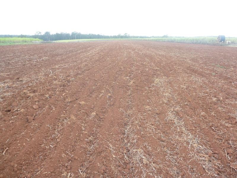 North Isis QLD 4660