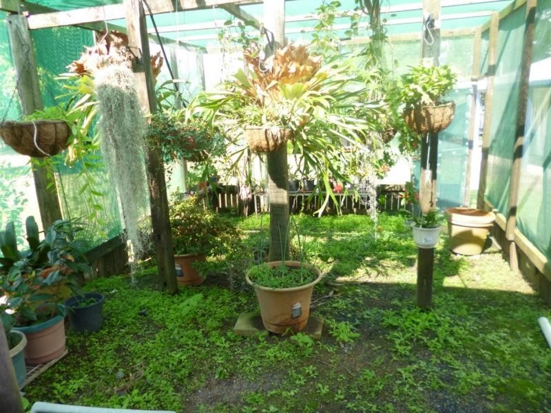 4 Leonard Court, Cordalba QLD 4660