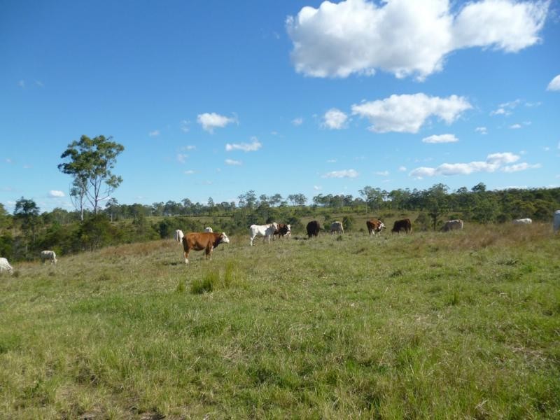 Rosedale QLD 4674