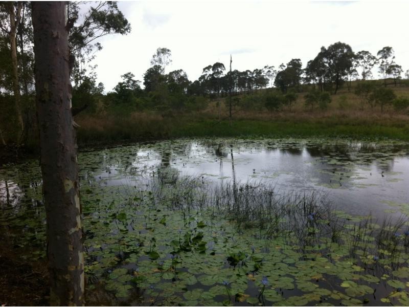 Rosedale QLD 4674