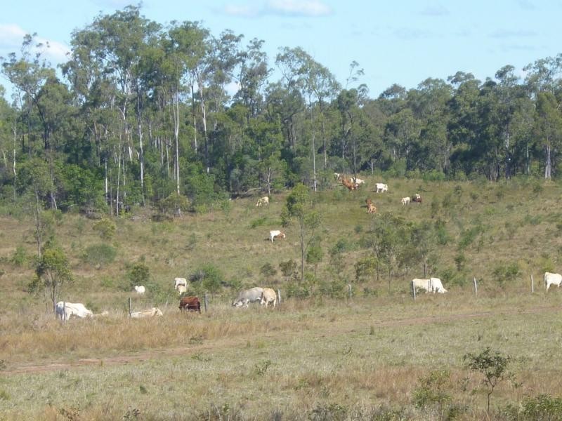 Rosedale QLD 4674