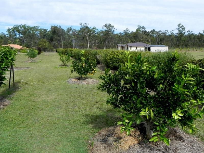 10 Rhythm Rise, Redridge QLD 4660