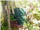 Apple Tree Creek QLD 4660