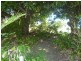 Apple Tree Creek QLD 4660