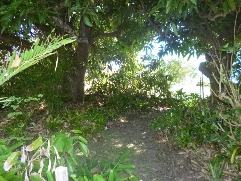Apple Tree Creek QLD 4660