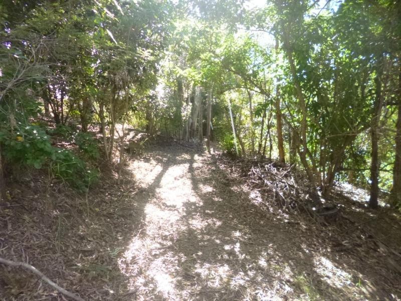 Apple Tree Creek QLD 4660