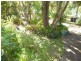 Apple Tree Creek QLD 4660
