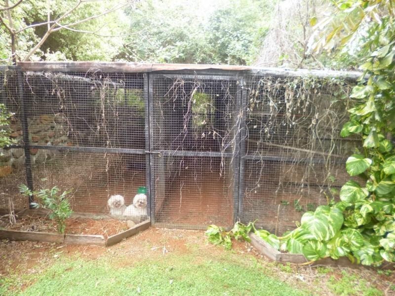 9 Delaney Court, Childers QLD 4660