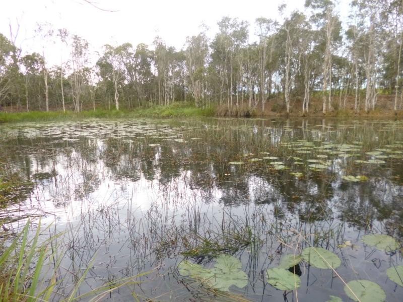 40 Bouchardts Road, Childers, Farnsfield QLD 4660