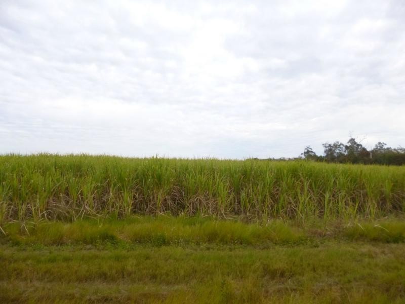 40 Bouchardts Road, Childers, Farnsfield QLD 4660