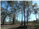 155 Chappell Hills Road, South Isis QLD 4660