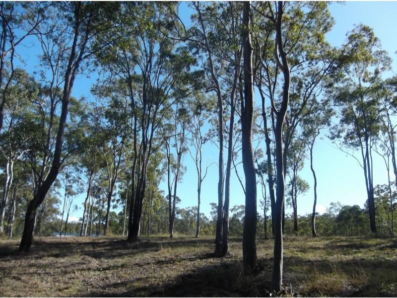 155 Chappell Hills Road, South Isis QLD 4660