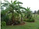 Woowoonga QLD 4621