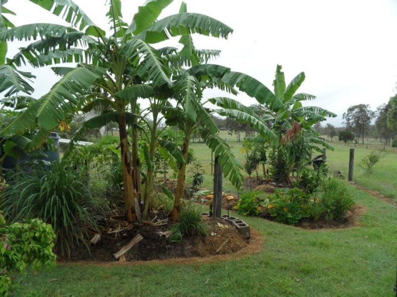 Woowoonga QLD 4621