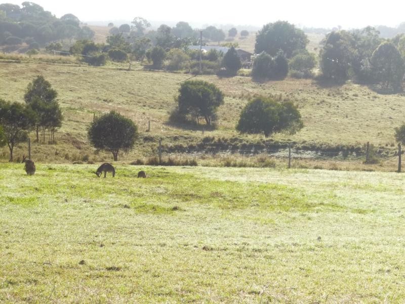 North Isis QLD 4660