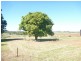 South Isis QLD 4660