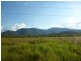 Golden Fleece QLD 4621
