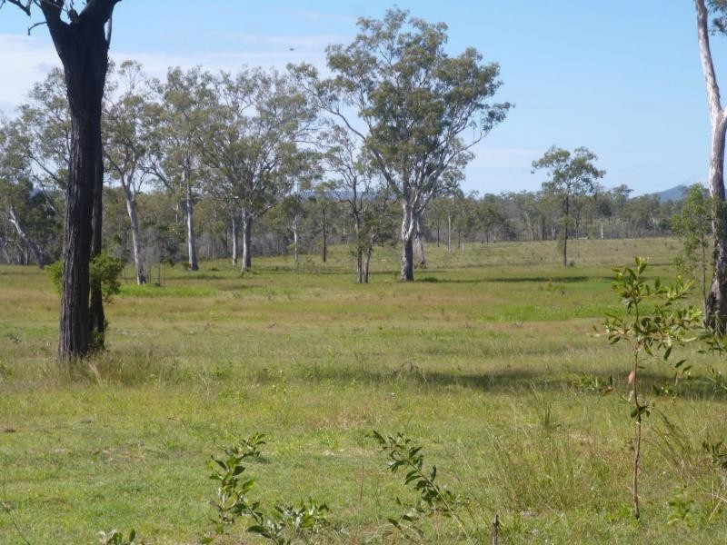 Golden Fleece QLD 4621