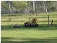 Golden Fleece QLD 4621
