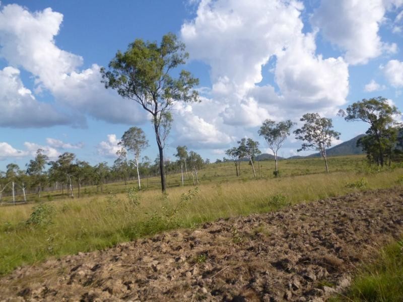 Golden Fleece QLD 4621