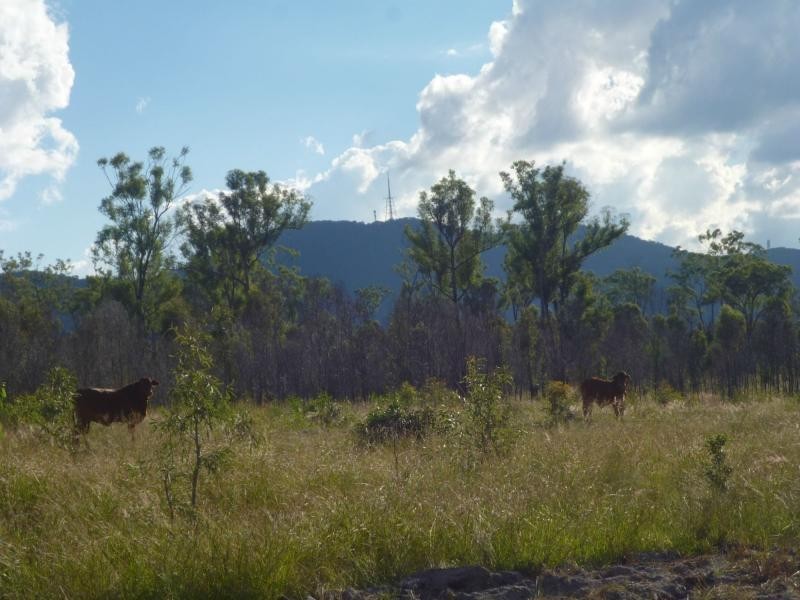 Golden Fleece QLD 4621