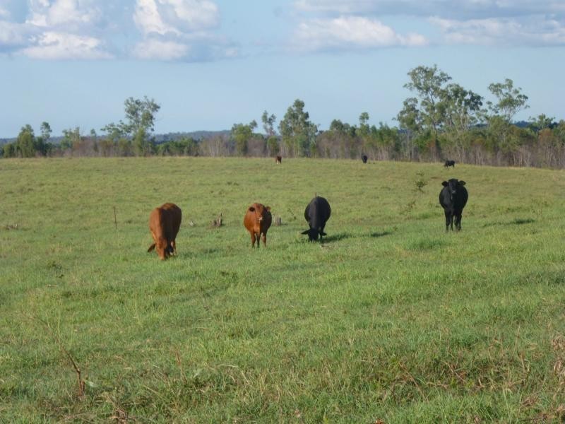 Golden Fleece QLD 4621