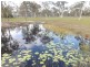 1362 Buxton Road, Buxton QLD 4660